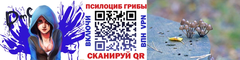 Галлюциногенные грибы прущие грибы  закладка  MEGA ССЫЛКА  Краснотурьинск 
