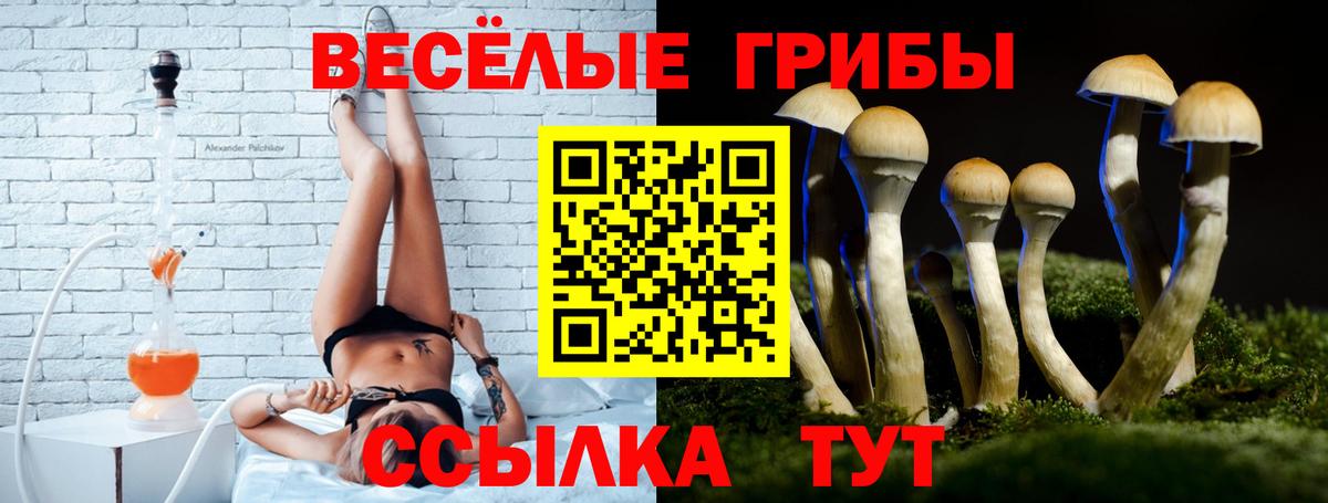 Галлюциногенные грибы мицелий Краснотурьинск