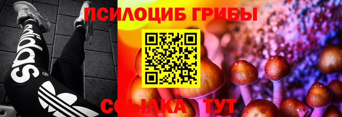 Галлюциногенные грибы мицелий  Вход с VPN  Краснотурьинск 